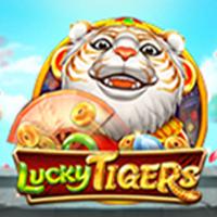 Lucky tigers